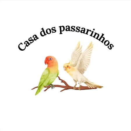 Casa Dos Passarinho'S , ラゴス エクステリア 写真