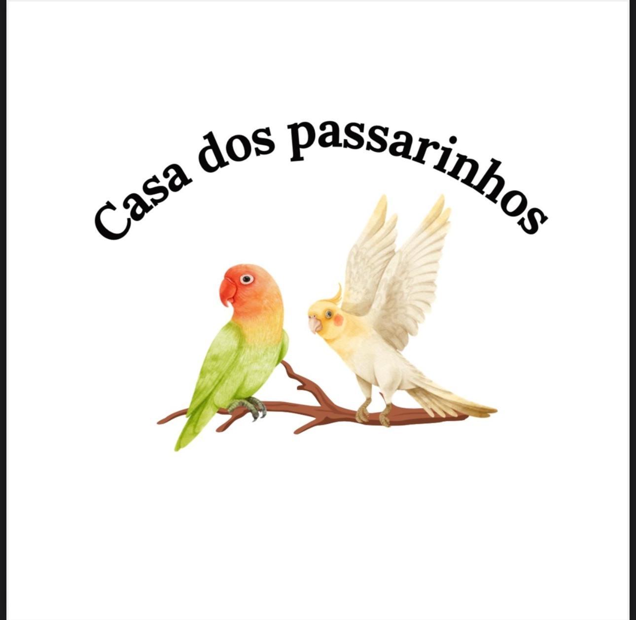 Casa Dos Passarinho'S , ラゴス エクステリア 写真